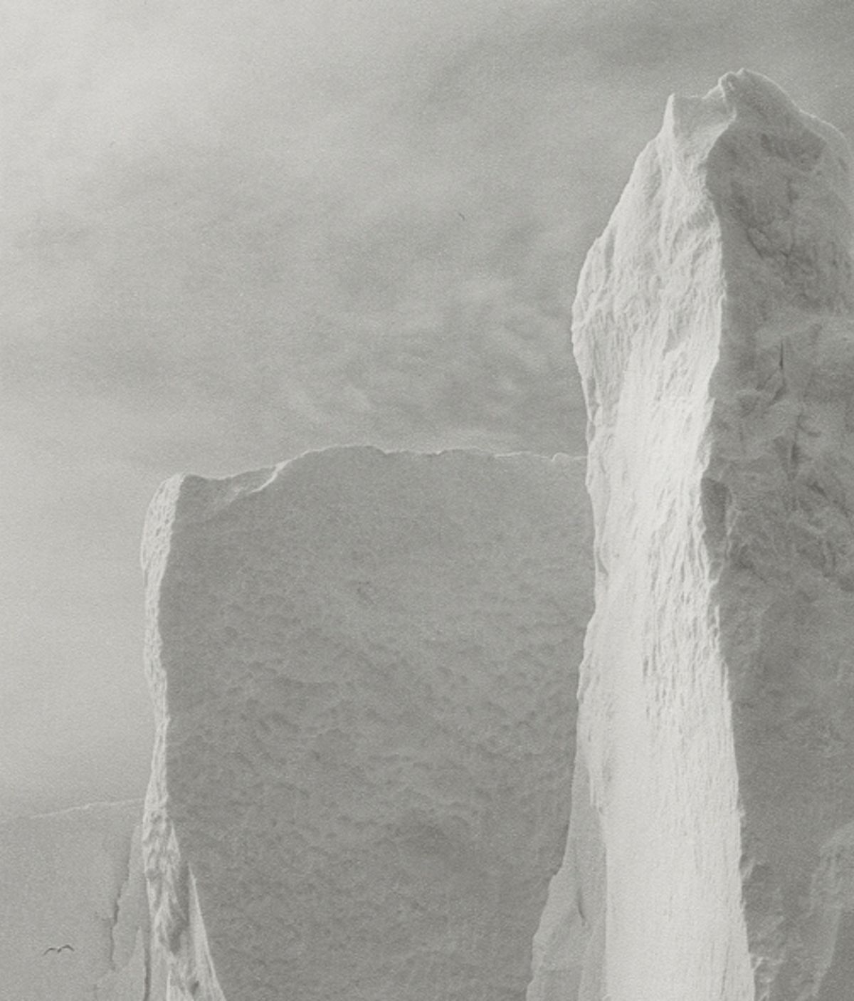 Ice | Lynn Davis | Prix Pictet